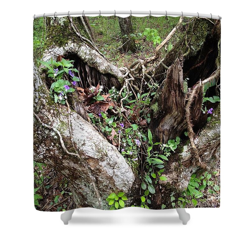 Trees Shower Curtain featuring the photograph Heart-shaped Tree by Jan Dappen