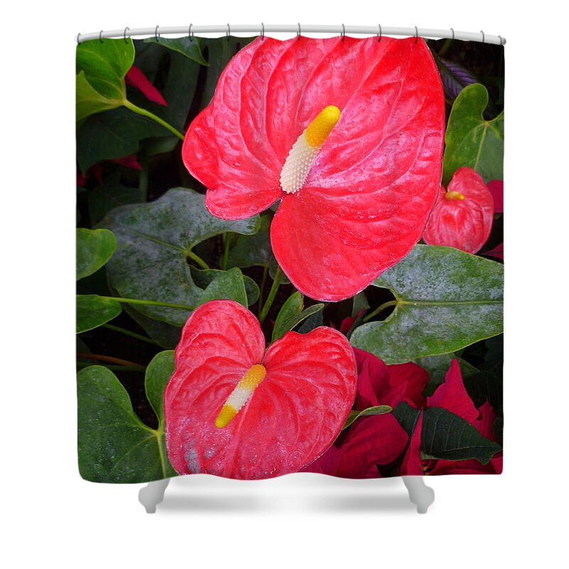 Flower Shower Curtain featuring the photograph Heart To Heart by Lingfai Leung