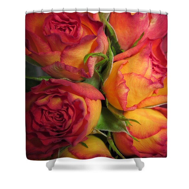 Flowerromance Shower Curtain featuring the photograph Heartbreaking Beauty by Rosita Larsson