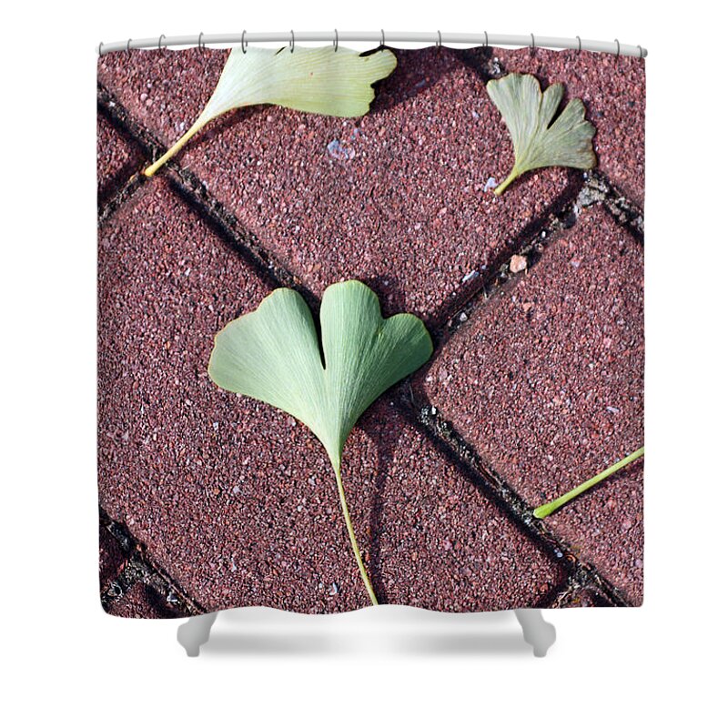 Leaves Shower Curtain featuring the photograph Hearts on Brick by Jennifer Robin