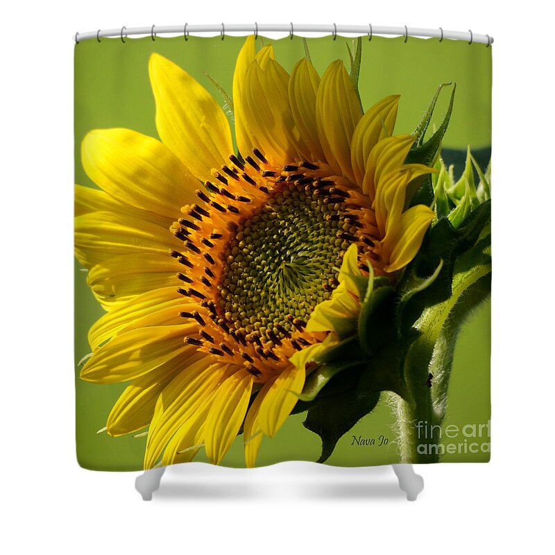 Floral Shower Curtain featuring the photograph Hello Sunshine by Nava Thompson