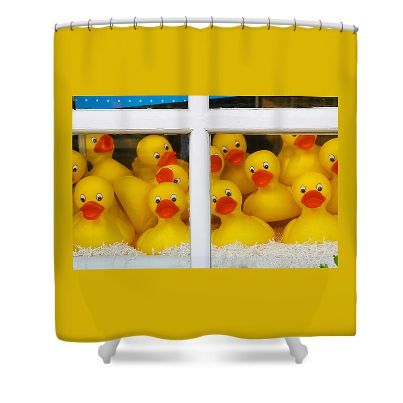 Rubber Duck Shower Curtain featuring the photograph Help We're Trapped in a Window Display and Can't Get Out by Allen Beatty