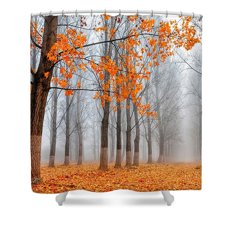 Bulgaria Shower Curtain featuring the photograph Heralds Of Autumn by Evgeni Dinev