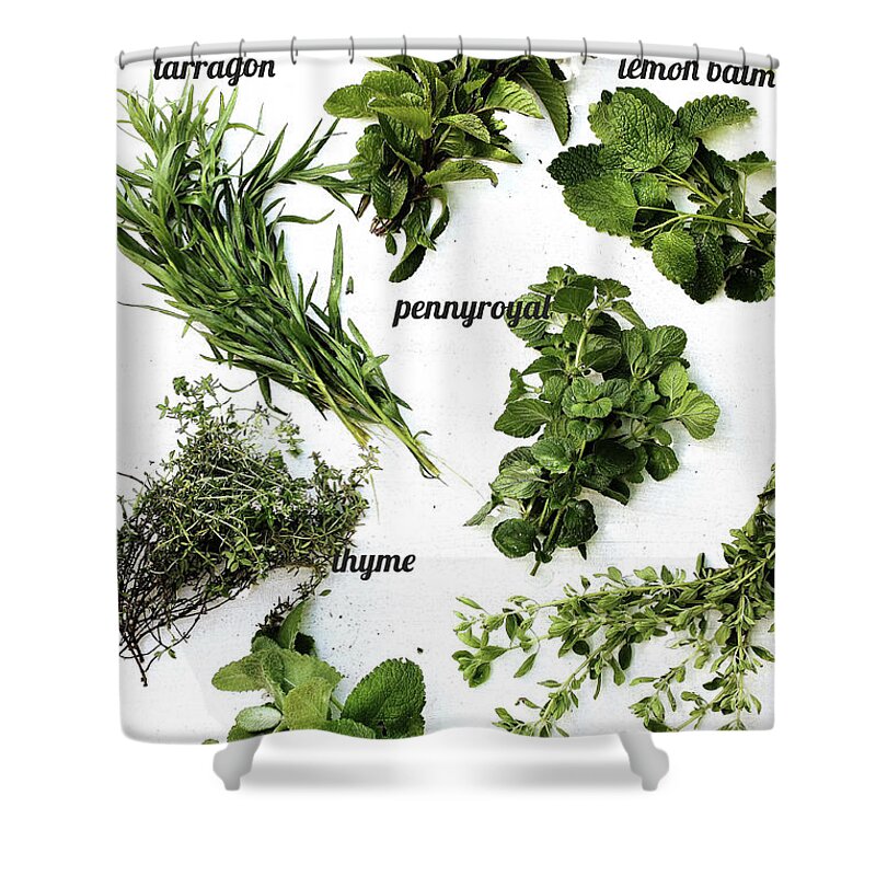White Background Shower Curtain featuring the photograph Herbs by Mónica Pinto Photography
