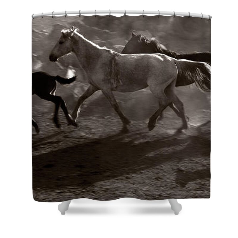 Horse Shower Curtain featuring the photograph Herd Of Horse Running by Okeyphotos