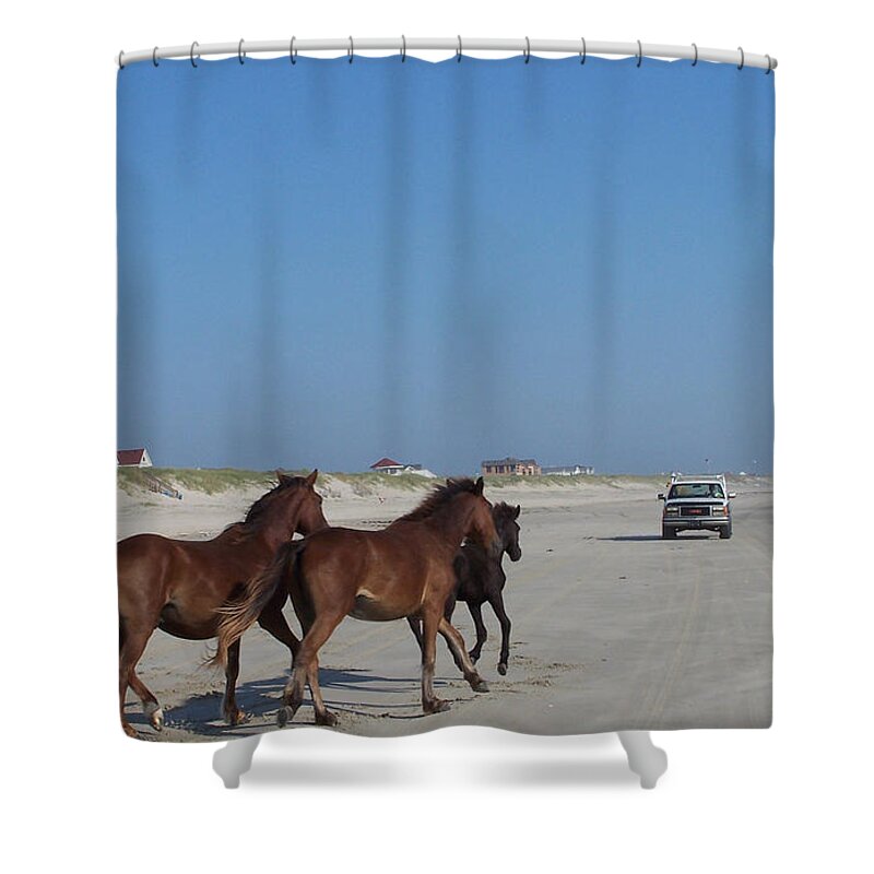 Wild Spanish Mustang Shower Curtain featuring the photograph Here We Come by Kim Galluzzo