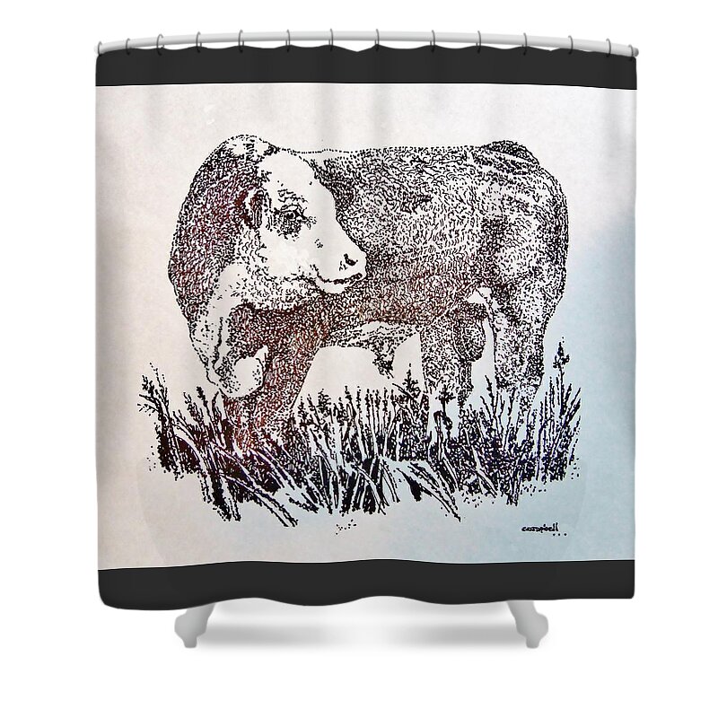 Bull Shower Curtain featuring the drawing Polled Hereford Bull by Larry Campbell