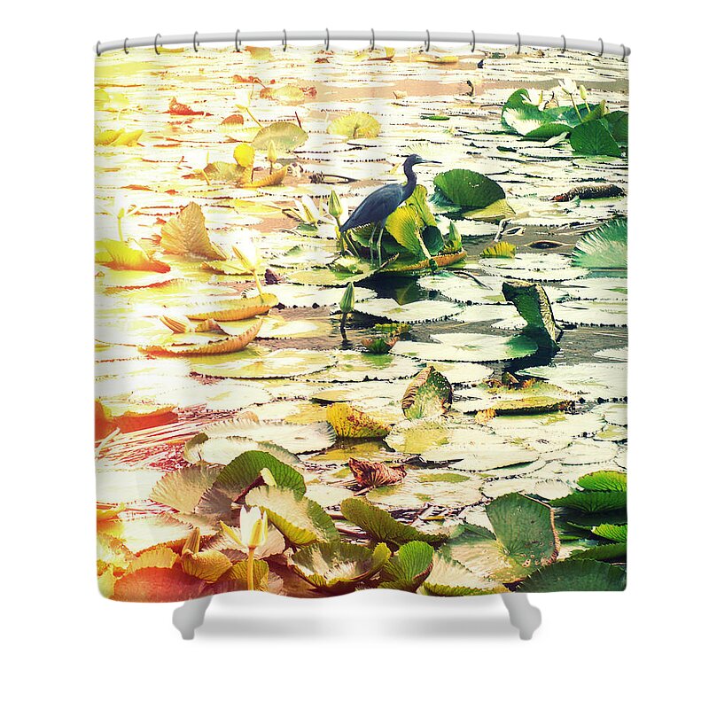 Florida Shower Curtain featuring the photograph Heron Among Lillies Photography Light Leaks by Chris Andruskiewicz