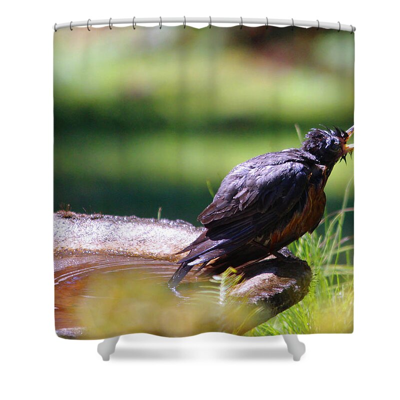 Animals Shower Curtain featuring the photograph Hey I am out of hot water by Kym Backland