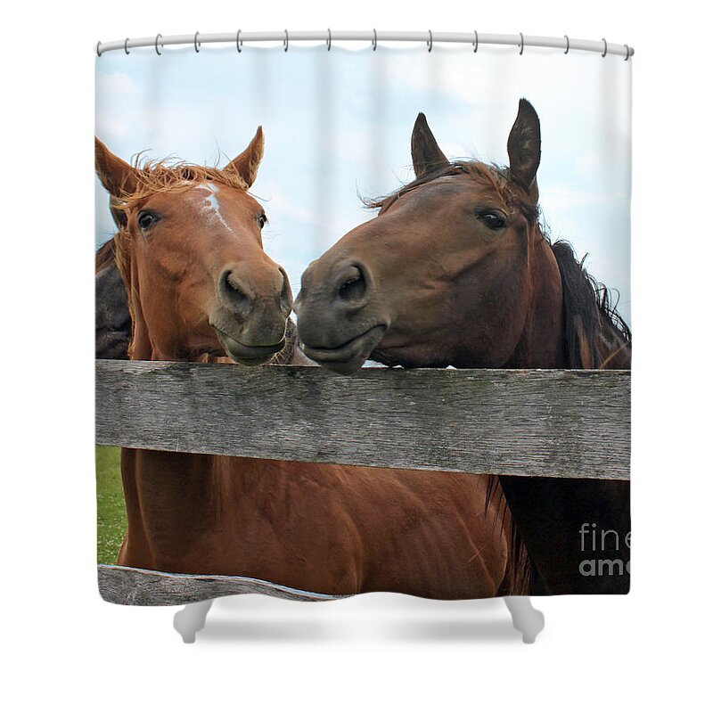 Horse Shower Curtain featuring the photograph Hey You Come Here by Debbie Hart