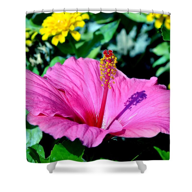 Hibiscus Shower Curtain featuring the photograph Hibiscus by Deena Stoddard