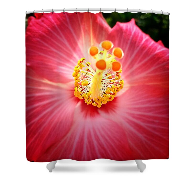 Hibiscus Shower Curtain featuring the photograph Hibiscus Highland by John Duplantis