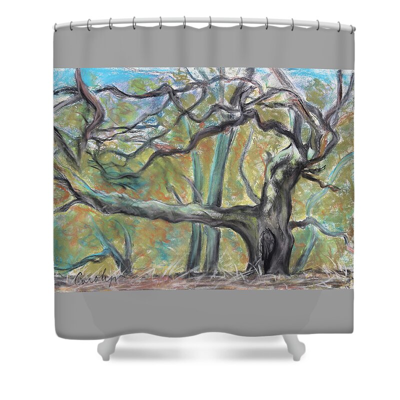 Landscape Painting Shower Curtain featuring the pastel Hidden Oak and Canyon in Briones Park by Asha Carolyn Young