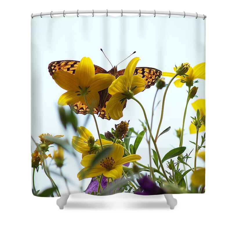 Butterfly Shower Curtain featuring the photograph Hide And Seek by Anita Braconnier