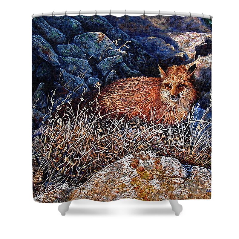 Fox Shower Curtain featuring the painting Hide and Seek by Craig Burgwardt
