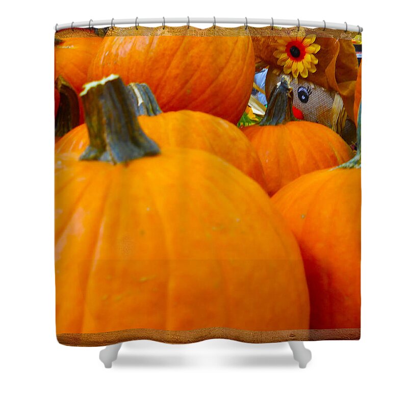 Pumpkins Shower Curtain featuring the photograph Hiding in the Pumpkin Patch by Judy Hall-Folde