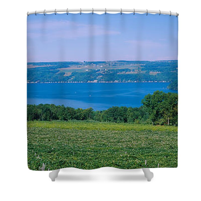 Photography Shower Curtain featuring the photograph High Angle View Of A Vineyard by Panoramic Images