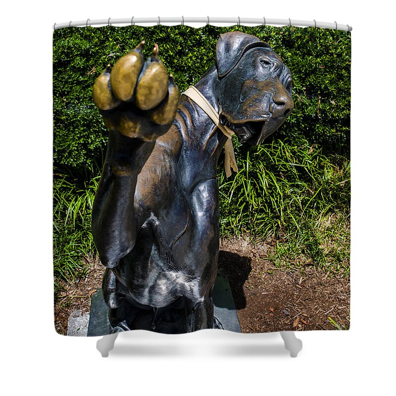 High Four Shower Curtain featuring the photograph High Four by Paul Mashburn