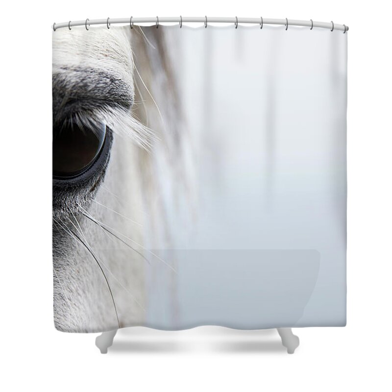 Tranquility Shower Curtain featuring the photograph High-key Close Up Of A Welsh Section A by Andrew Bret Wallis