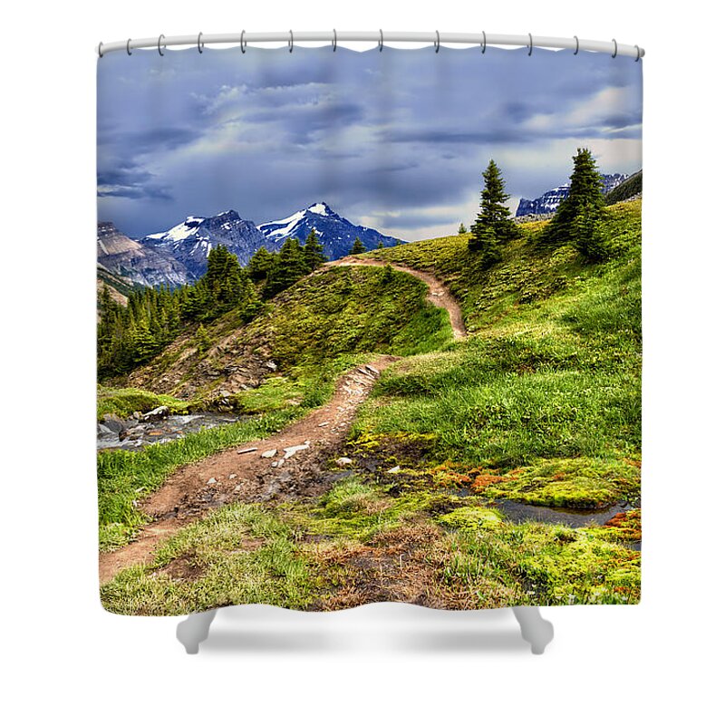 Jasper National Park Shower Curtain featuring the photograph High Mountain Trail by Kathleen Bishop