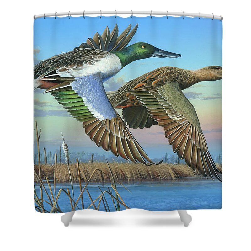 Northern Shoveler Shower Curtain featuring the painting High Water by Mike Brown