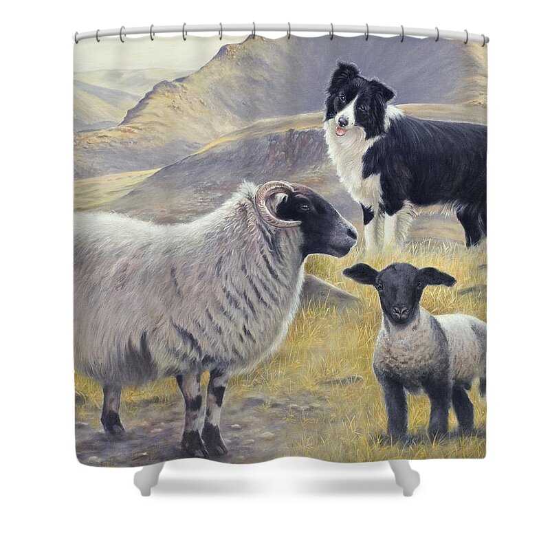 Dog Paintings Shower Curtain featuring the painting Highland Spirit by John Silver
