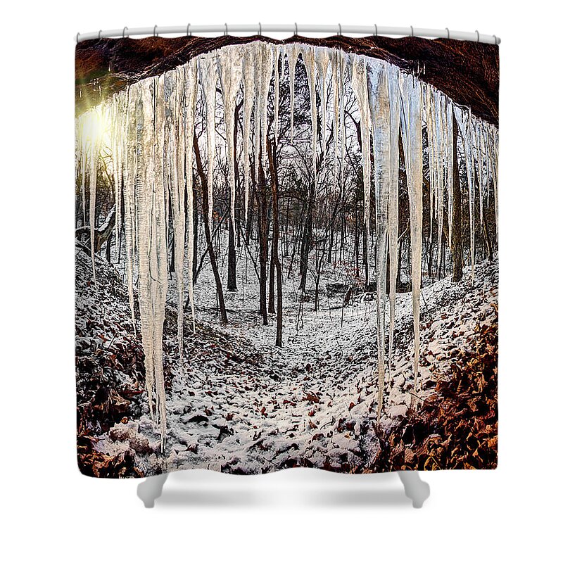 2012 Shower Curtain featuring the photograph Hinding from winter by Robert Charity