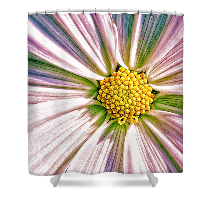 Pastel Shower Curtain featuring the photograph Hippie Petals by Bill and Linda Tiepelman