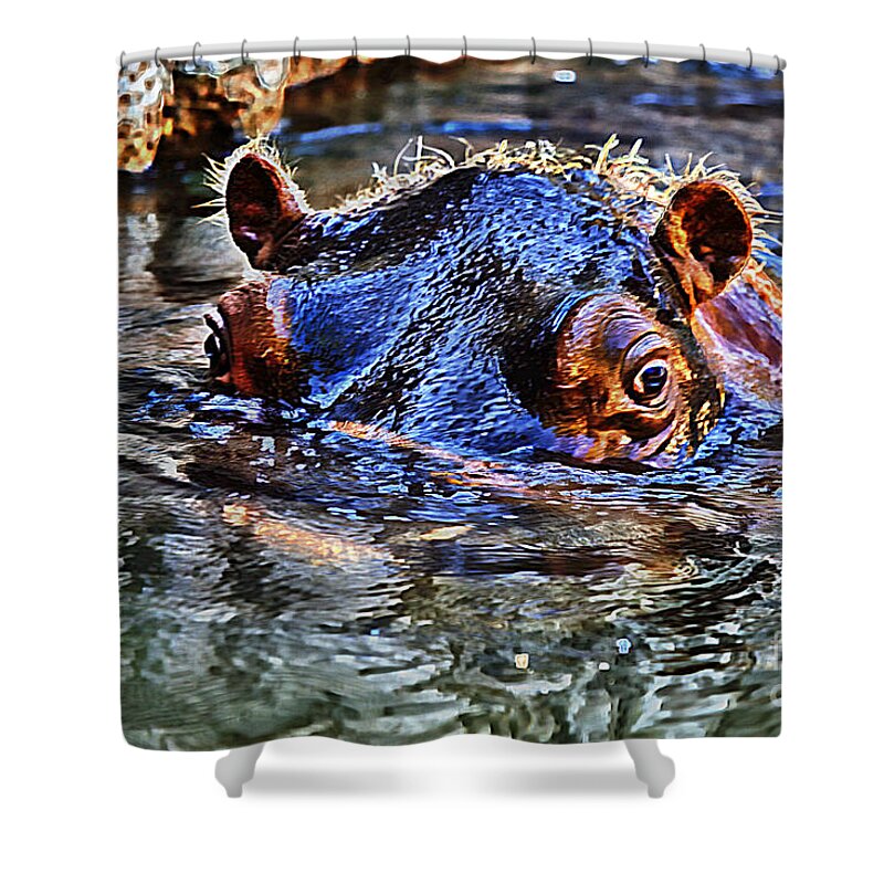Hippo Shower Curtain featuring the photograph Hippo-Colorful by Douglas Barnard