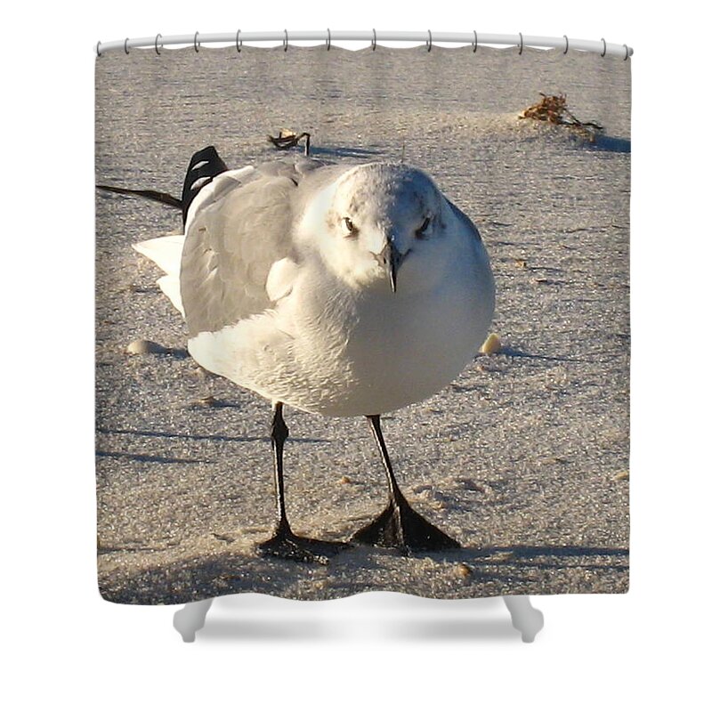 Sand Shower Curtain featuring the photograph His day by Jennifer E Doll
