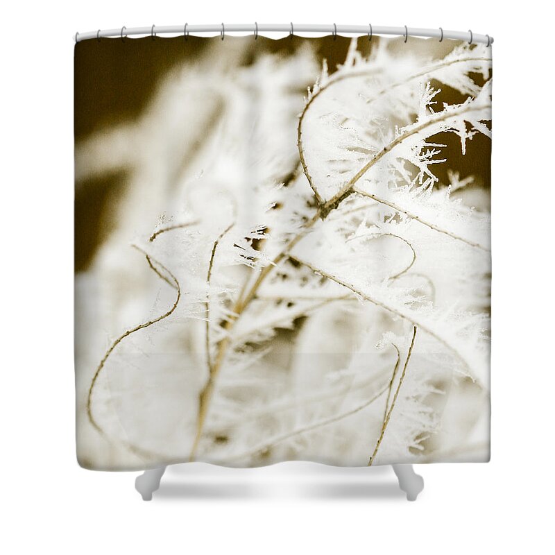 Hoar Shower Curtain featuring the photograph Hoar Frost 4 by Marilyn Hunt