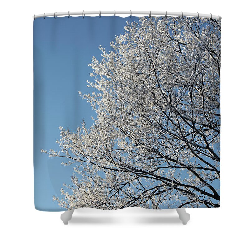 Snow Shower Curtain featuring the photograph Hoar Frost On Tree Branches by Tricia Shay Photography