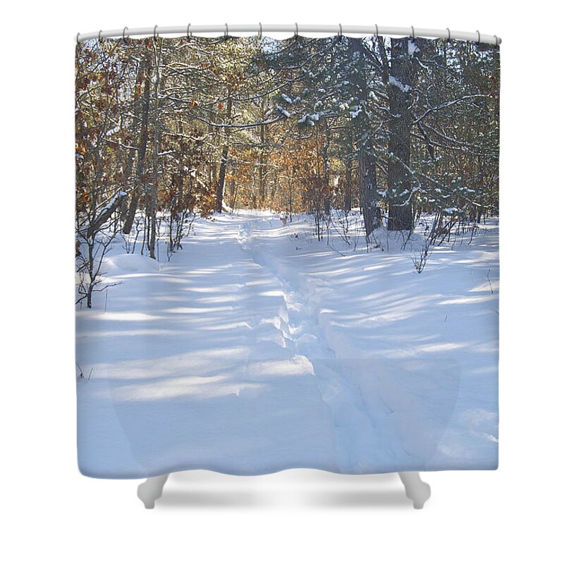 Woods Shower Curtain featuring the photograph Hoist Lake Trail by Michael Peychich