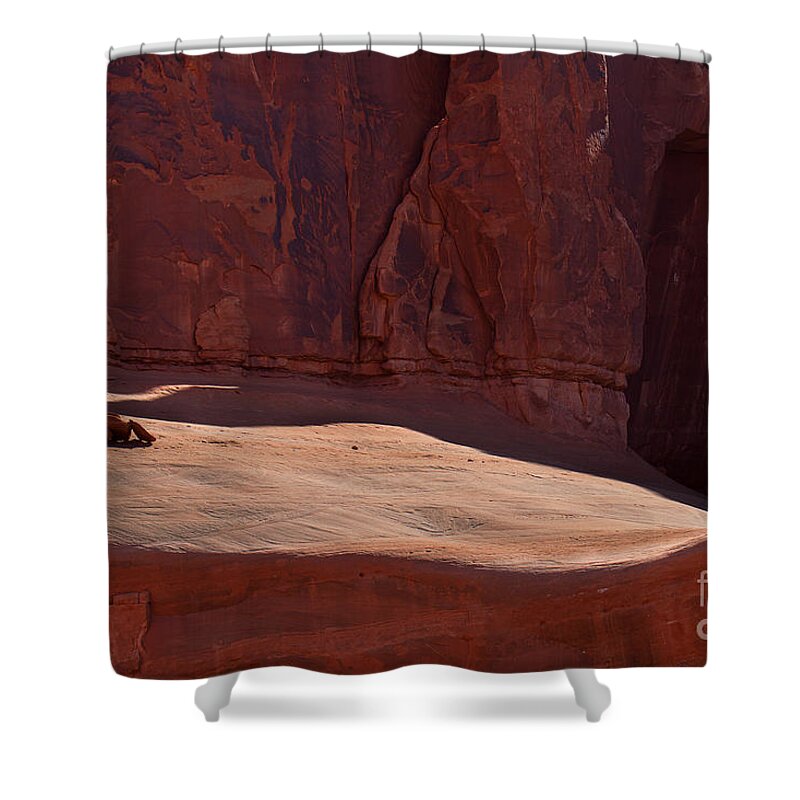 Arches National Park Print Shower Curtain featuring the photograph Hold On by Jim Garrison