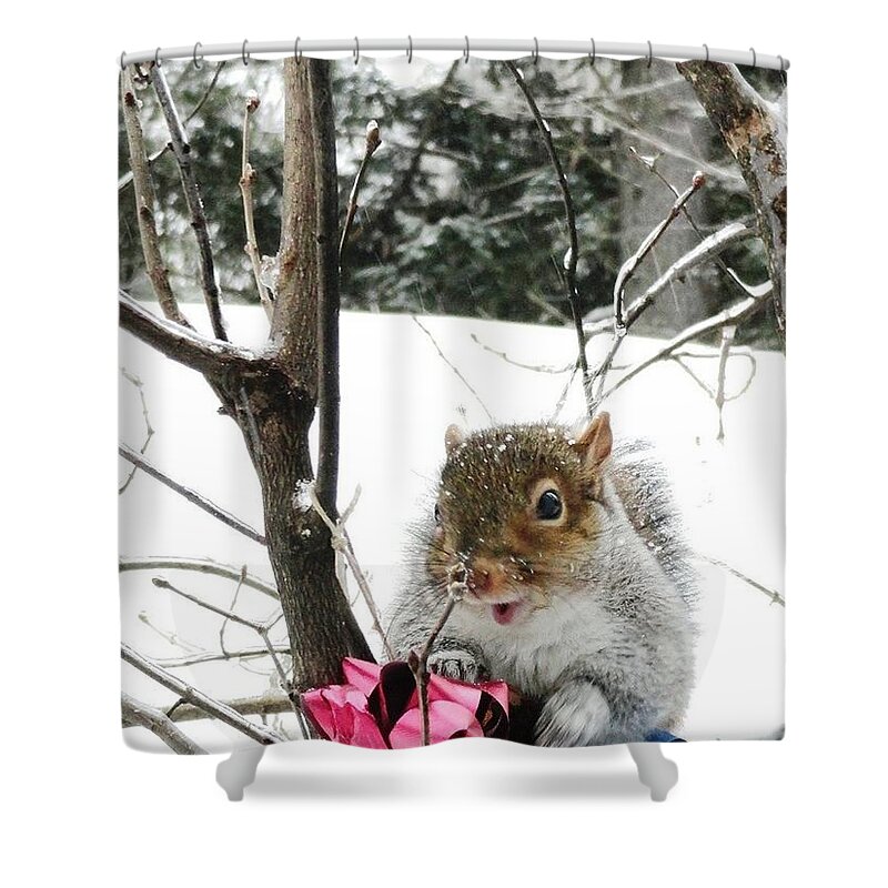 Holiday Joy Shower Curtain featuring the photograph Holiday Joy by Mike Breau