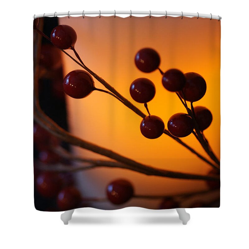 Holiday Shower Curtain featuring the photograph Holiday Warmth By Candlelight 1 by Linda Shafer