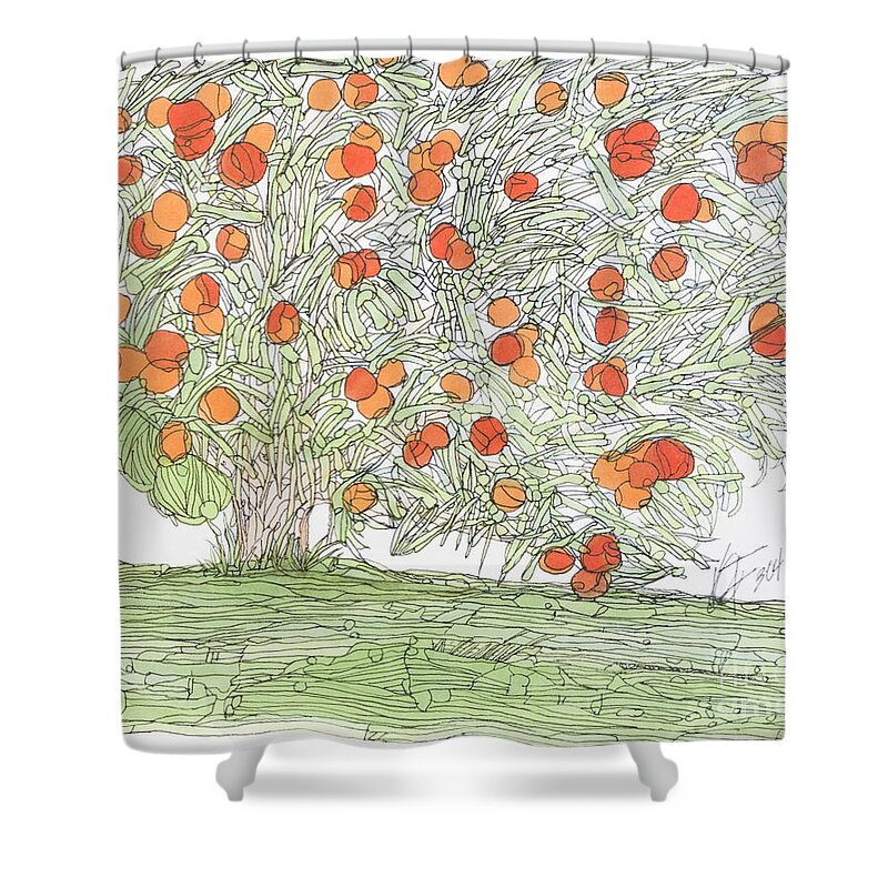 Drawing Shower Curtain featuring the drawing Holland Citrus Tree by Kristi Chapman