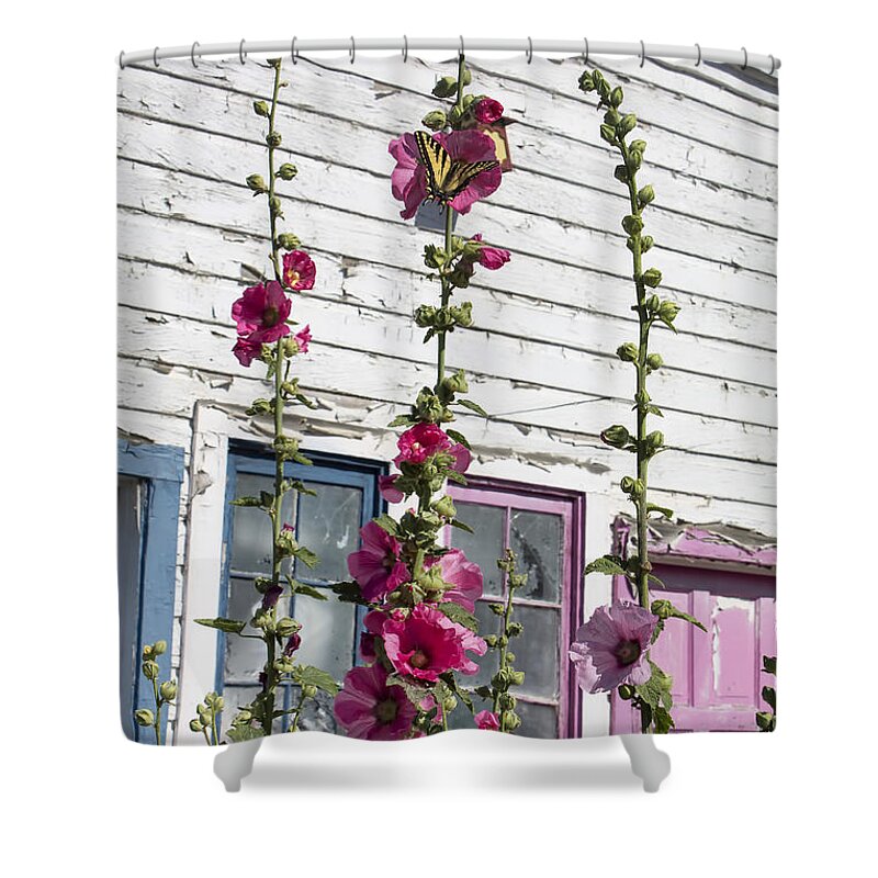 Flowers Shower Curtain featuring the photograph Hollyhocks and Butterfly by Cathy Anderson