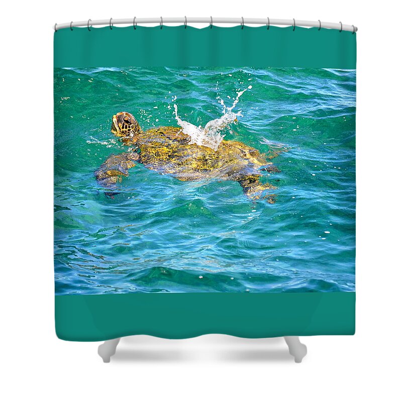 Hawaii Shower Curtain featuring the photograph Honu Hawaiian green sea turtle by Lehua Pekelo-Stearns