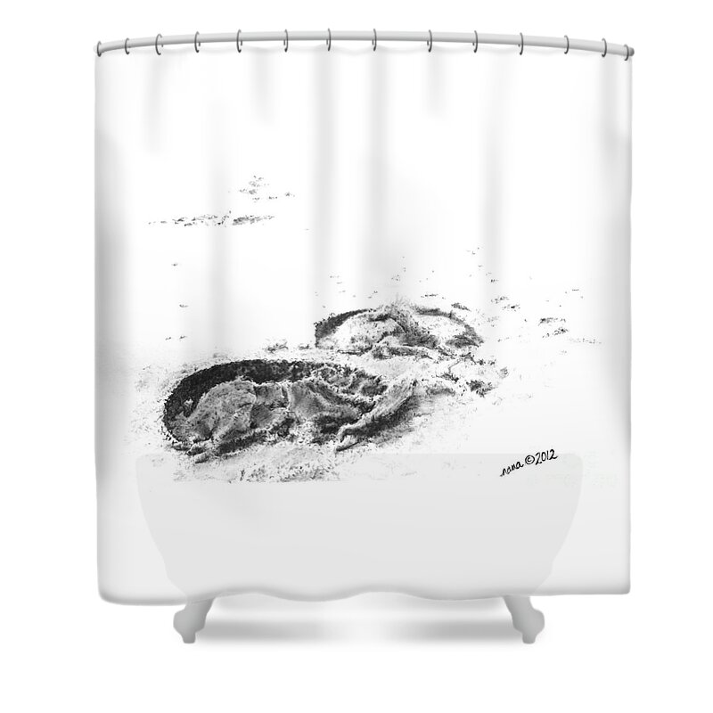 Horse Shower Curtain featuring the drawing Hoof Prints by Marianne NANA Betts