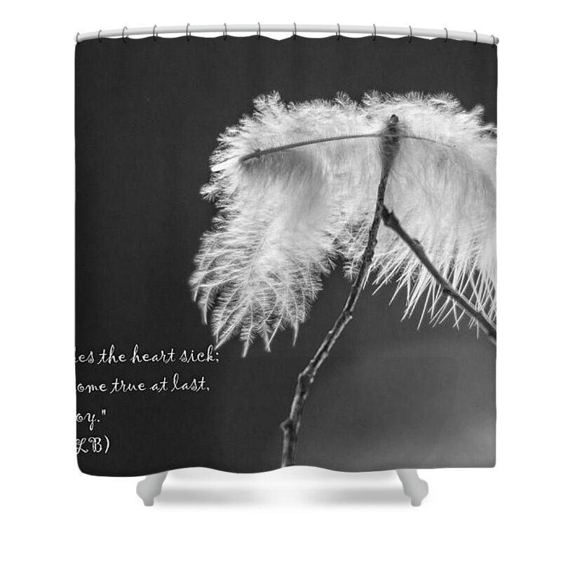 Branch Shower Curtain featuring the photograph Hope Deffered by Cheryl Baxter