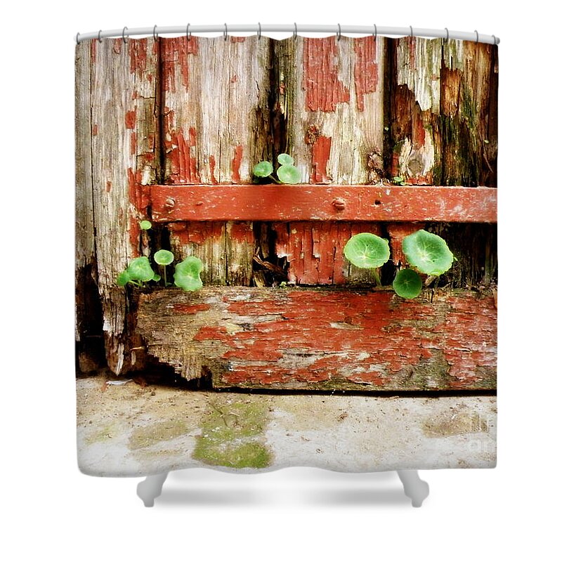 Hope Shower Curtain featuring the photograph Hope by Lainie Wrightson