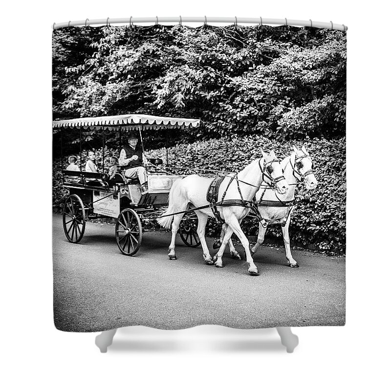 Horse Shower Curtain featuring the photograph Horse And Carriage, N.ireland by Aleck Cartwright