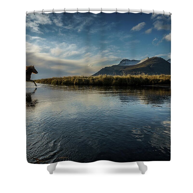 Majestic Shower Curtain featuring the photograph Horse Crossing A River, Iceland by Arctic-images