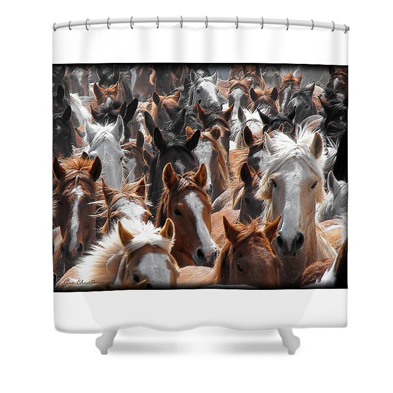 Horse Shower Curtain featuring the photograph Horse Faces by Kae Cheatham