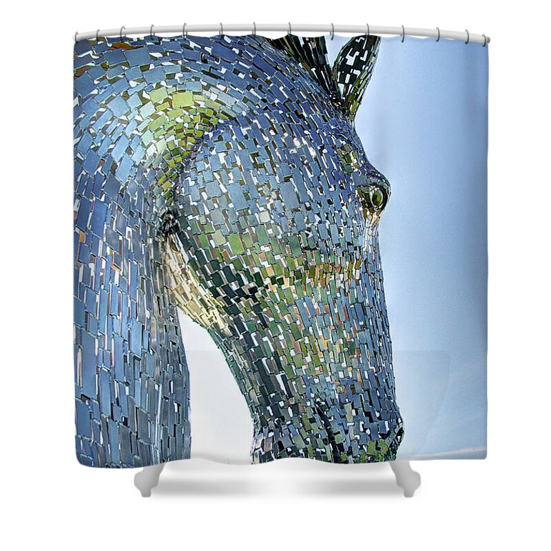 Chicago Shower Curtain featuring the photograph Horse Head by Will Wagner