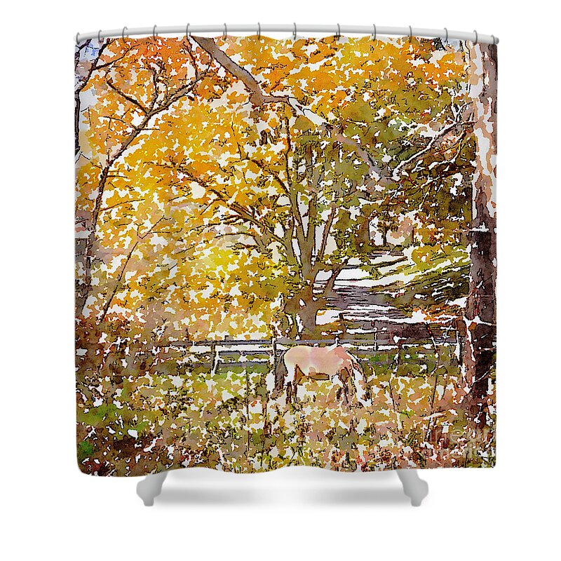 Horse Shower Curtain featuring the photograph Horse In The Pasture by Kerri Farley