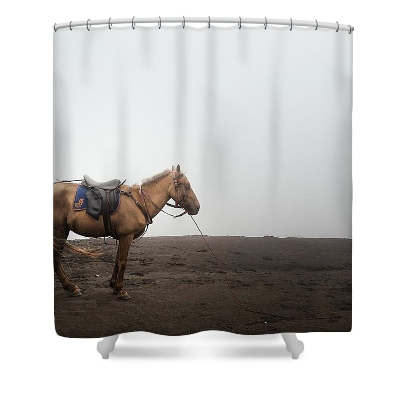 Horse Shower Curtain featuring the photograph Horse On A Mountain On A Foggy Day by Carlina Teteris