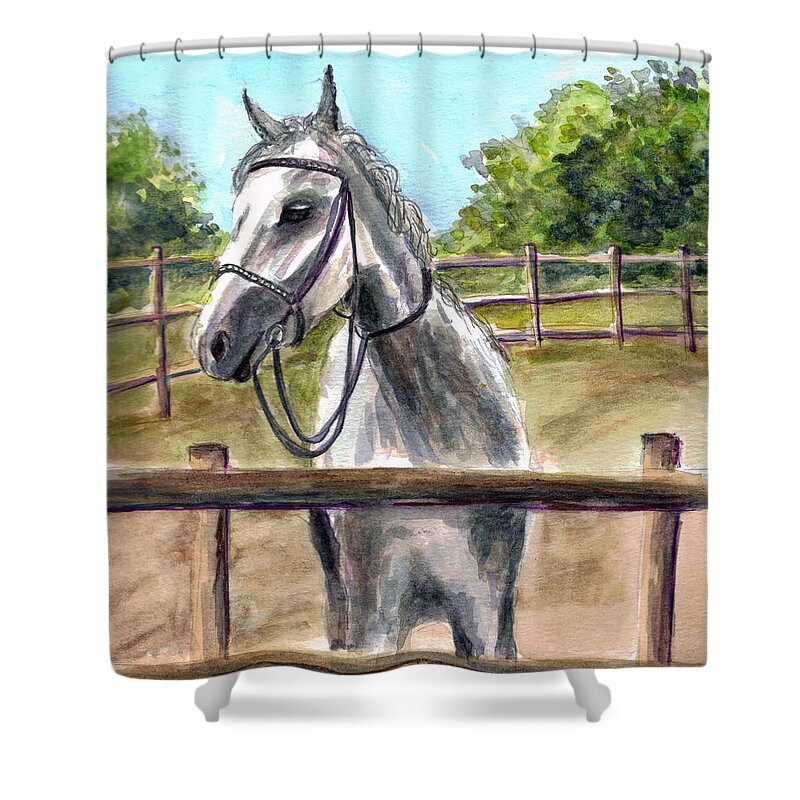 Horse Shower Curtain featuring the painting Horse Play by Clara Sue Beym