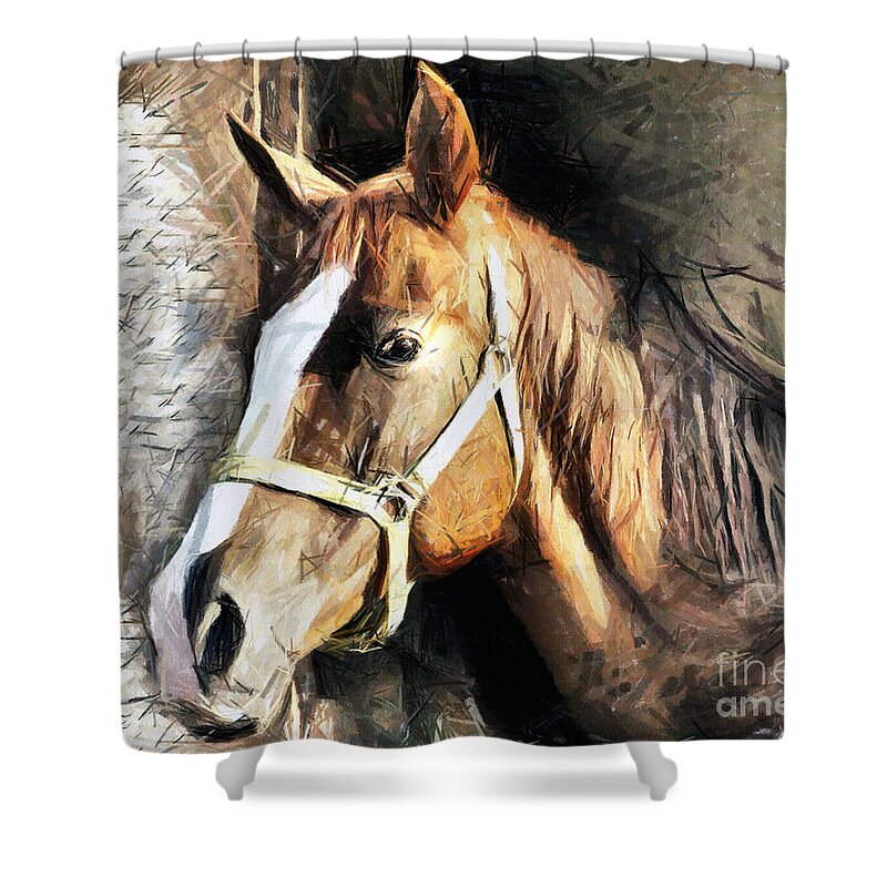 Horse Shower Curtain featuring the drawing Horse Portrait - drawing by Daliana Pacuraru
